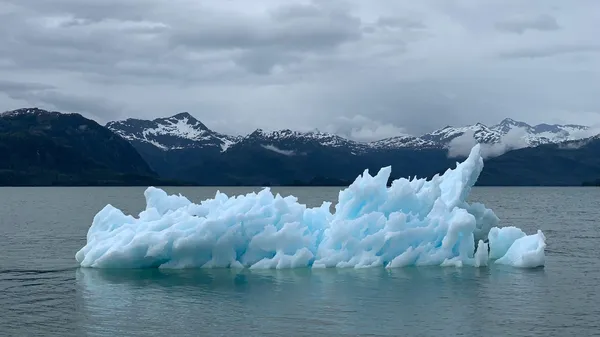 Eismasse im Wasser vor Bergkulisse