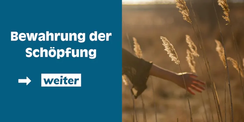 Bewahrung der Schöpfung