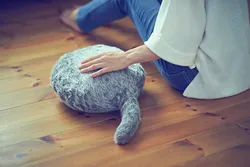 Quelle: Yukai Engineering Das plüschige Kissen Qoobo